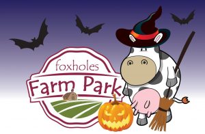 Foxholes Farm Park Halloween